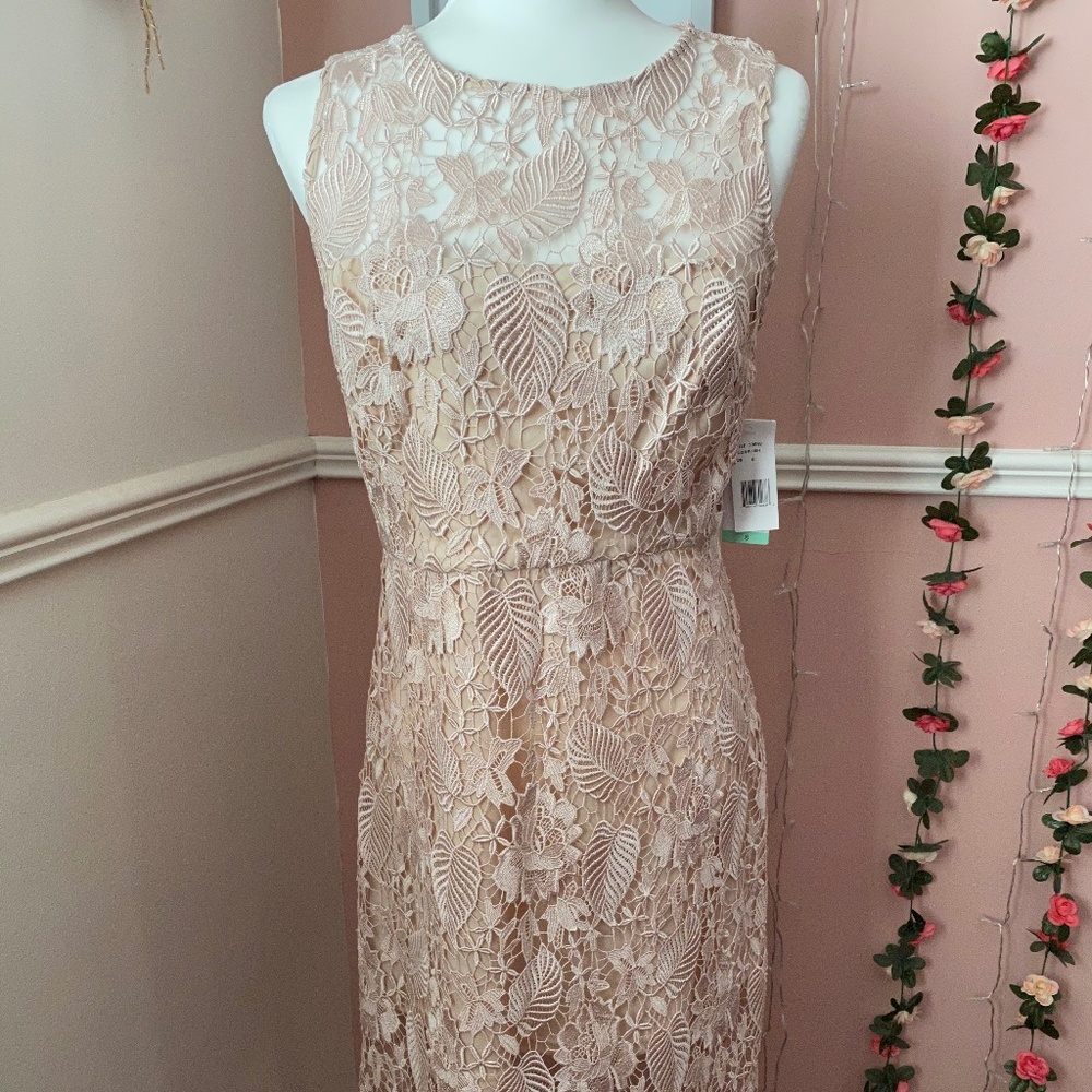 Blush midi dress